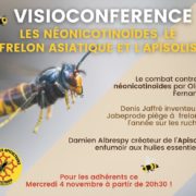 Visio-Conférence mensuelle : Les néonicotinoïdes, le frelon asiatique et l&rsquo;Apisolis.